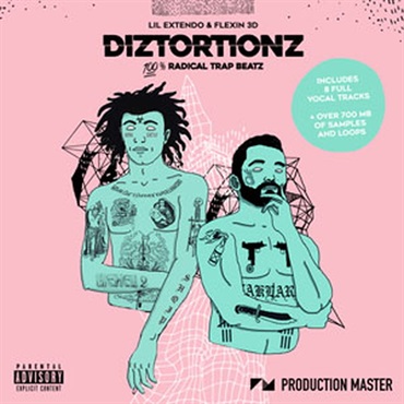 PRODUCTION MASTER DIZTORTIONZ(オンライン納品)(2時間以内に納品)