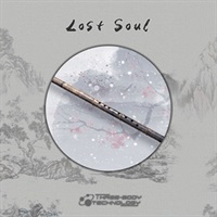LOST SOUL(オンライン納品)(2時間以内に納品)