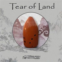 TEAR OF LAND(オンライン納品)(2時間以内に納品)