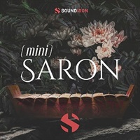 MINI SALON