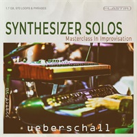 SYNTHESIZER SOLOS(オンライン納品)(2時間以内に納品)