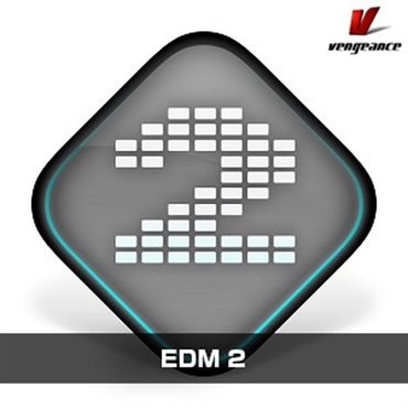 EDM 2(オンライン納品)(2時間以内に納品)