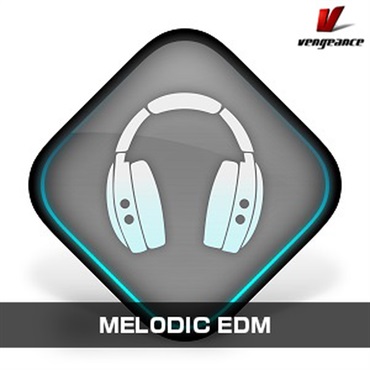 Vengeance Sound MELODIC EDM(オンライン納品)(2時間以内に納品)