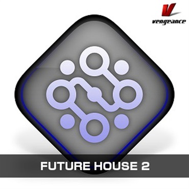 FUTURE HOUSE 2(オンライン納品)(2時間以内に納品)