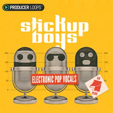 PRODUCER LOOPS STICK UP BOYS ELECTRONIC POP VOCALS VOL 4(オンライン納品)(2時間以内に納品)