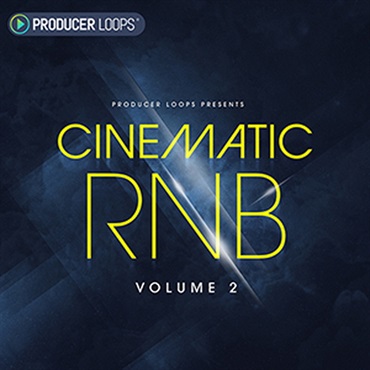 CINEMATIC RNB VOL 2(オンライン納品)(2時間以内に納品)