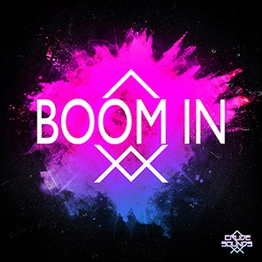 BOOM IN(オンライン納品)(2時間以内に納品)