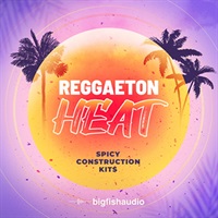 REGGAETON HEAT - SPICY CONSTRUCTION KITS(オンライン納品)(2時間以内に納品)