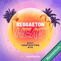REGGAETON HEAT - SPICY CONSTRUCTION KITS MMT(オンライン納品)(2時間以内に納品)