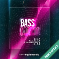 BASS MOTTO - SLAP HOUSE CONSTRUCTION KITS MMT(オンライン納品)(2時間以内に納品)