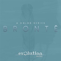 VOCAL COLORS BRONTE(オンライン納品)(2時間以内に納品)