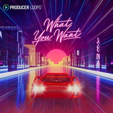 WHAT YOU WANT(オンライン納品)(2時間以内に納品)