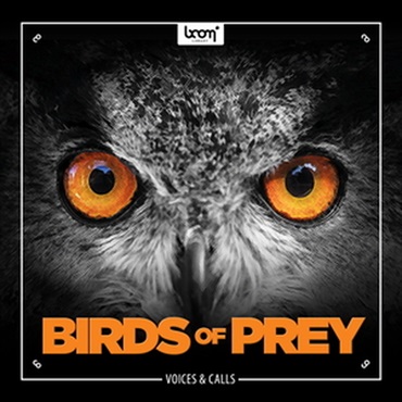 BIRDS OF PREY(オンライン納品)(2時間以内に納品)