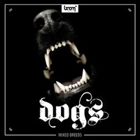 DOGS