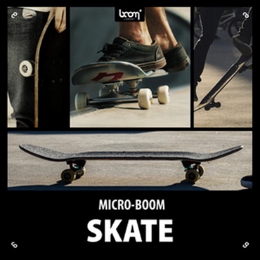 SKATE(オンライン納品)(2時間以内に納品)