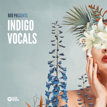 BEO PRESENTS INDIGO VOCALS(オンライン納品)(2時間以内に納品)