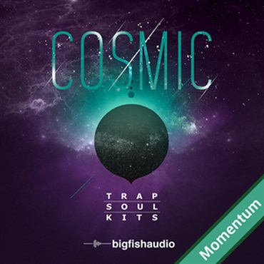 BIG FISH AUDIO COSMIC - TRAP SOUL KITS MMT(オンライン納品)(2時間以内に納品)