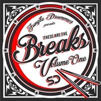 THESE ARE THE BREAKS