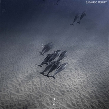 TOUCH LOOPS EUPHORIC MEMORY(オンライン納品)(2時間以内に納品)