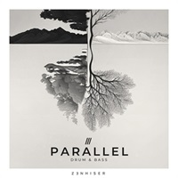 PARALLEL - DRUM & BASS(オンライン納品)(2時間以内に納品)