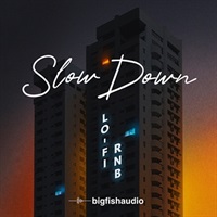 SLOW DOWN - LO-FI RNB(オンライン納品)(2時間以内に納品)