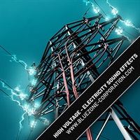 HIGH VOLTAGE ELECTRICITY SOUND EFFECTS(オンライン納品)(2時間以内に納品)
