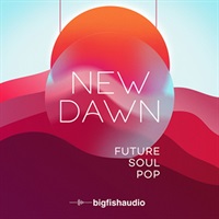 NEW DAWN - FUTURE SOUL POP(オンライン納品)(2時間以内に納品)
