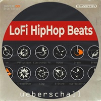 LOFI HIPHOP BEATS(オンライン納品)(2時間以内に納品)
