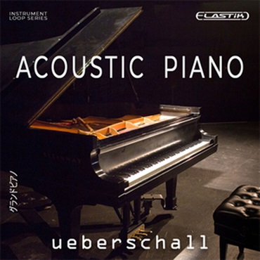 ACOUSTIC PIANO(オンライン納品)(2時間以内に納品)