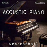 ACOUSTIC PIANO(オンライン納品)(2時間以内に納品)