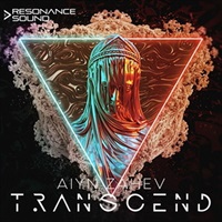 TRANSCEND DIVA(オンライン納品)(2時間以内に納品)