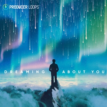 PRODUCER LOOPS DREAMING ABOUT YOU(オンライン納品)(2時間以内に納品)