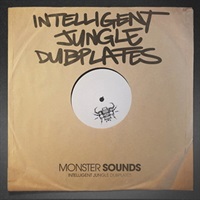 INTELLIGENT JUNGLE DUB PLATES(オンライン納品)(2時間以内に納品)