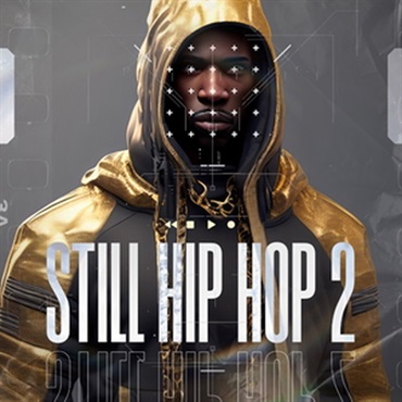 DIGINOIZ STILL HIP HOP 2(オンライン納品)(2時間以内に納品)