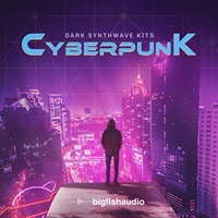 CYBERPUNK - DARK SYNTHWAVE KITS(オンライン納品)(2時間以内に納品)