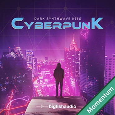 BIG FISH AUDIO CYBERPUNK - DARK SYNTHWAVE KITS MMT(オンライン納品)(2時間以内に納品)