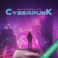 CYBERPUNK - DARK SYNTHWAVE KITS MMT(オンライン納品)(2時間以内に納品)