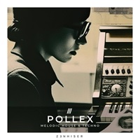 POLLEX - MELODIC HOUSE & TECHNO(オンライン納品)(2時間以内に納品)