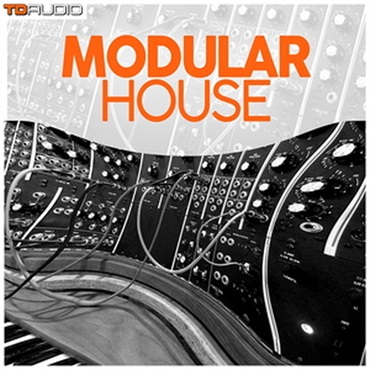 TD AUDIO - MODULAR HOUSE(オンライン納品)(2時間以内に納品)