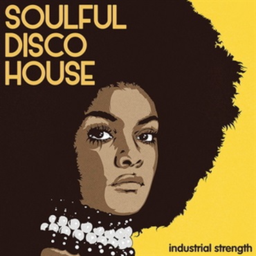SOULFUL DISCO HOUSE(オンライン納品)(2時間以内に納品)