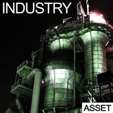 INDUSTRIAL STRENGTH 【ループマスターズゴールデンウィークセール！】INDUSTRY - ASSET(オンライン納品)(2時間以内に納品)