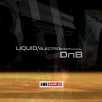 BHK SAMPLES - LEDM - DRUM ‘N’ BASS(オンライン納品)(2時間以内に納品)