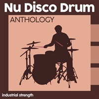 NU DISCO DRUM ANTHOLOGY(オンライン納品)(2時間以内に納品)