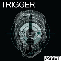 TRIGGER - ASSET(オンライン納品)(2時間以内に納品)