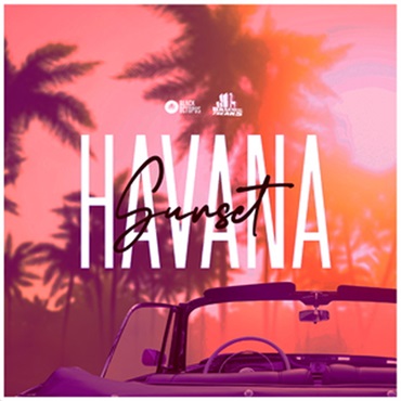 BLACK OCTOPUS BASEMENT FREAKS PRESENTS HAVANA SUNSET(オンライン納品)(2時間以内に納品)
