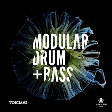 BLACK OCTOPUS VOICIANS - MODULAR DNB(オンライン納品)(2時間以内に納品)