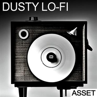 DUSTY LO-FI - ASSET(オンライン納品)(2時間以内に納品)