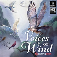 【サマーセール！対象製品50%OFF！】VOICE OF WIND: COLLECTION(オンライン納品)(2時間以内に納品)