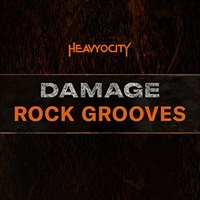 DAMAGE ROCK GROOVES(オンライン納品)(2時間以内に納品)