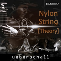NYLON STRING THEORY(オンライン納品)(2時間以内に納品)